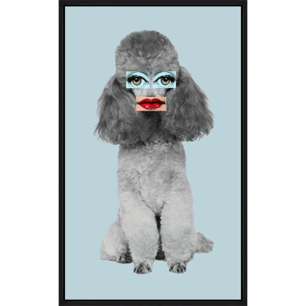 Poodle Lips by Jeffrey Goodman