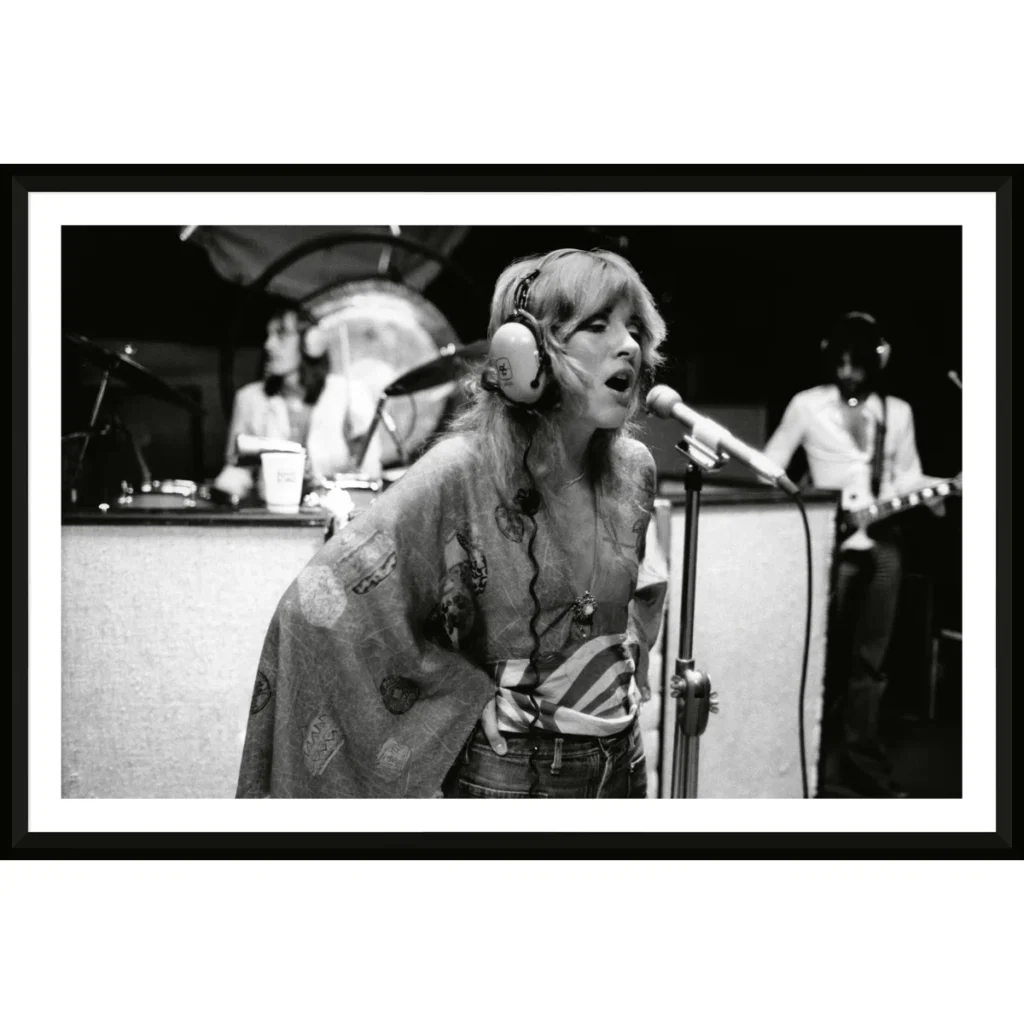Stevie Nicks & Fleetwood Mac Print